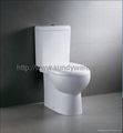 3209 washdown two-piece toilet