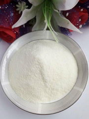 COMPOUND CHEESE POWDER