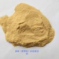 Malt Extract Powder 2