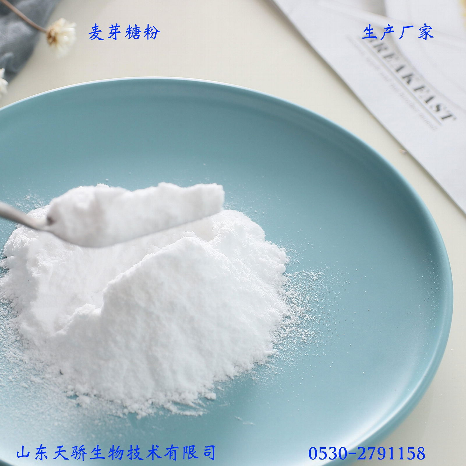 麦芽糖粉 MALTOSE POWDER 4