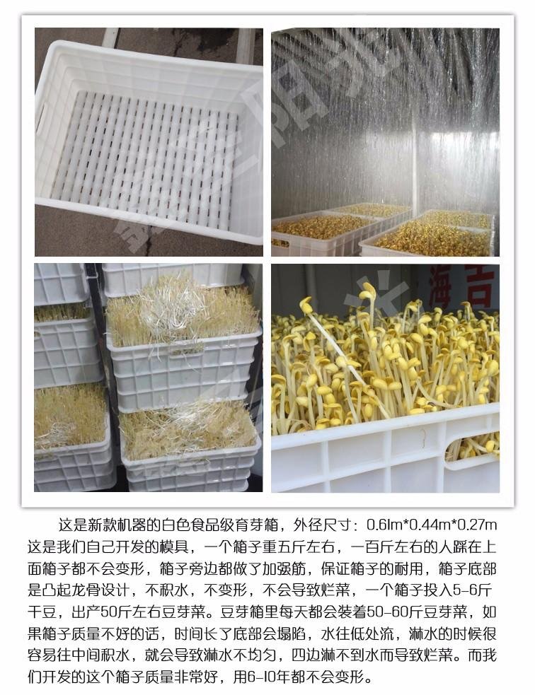 Soybean sprout machine equipment with yellow green bean sprout 3