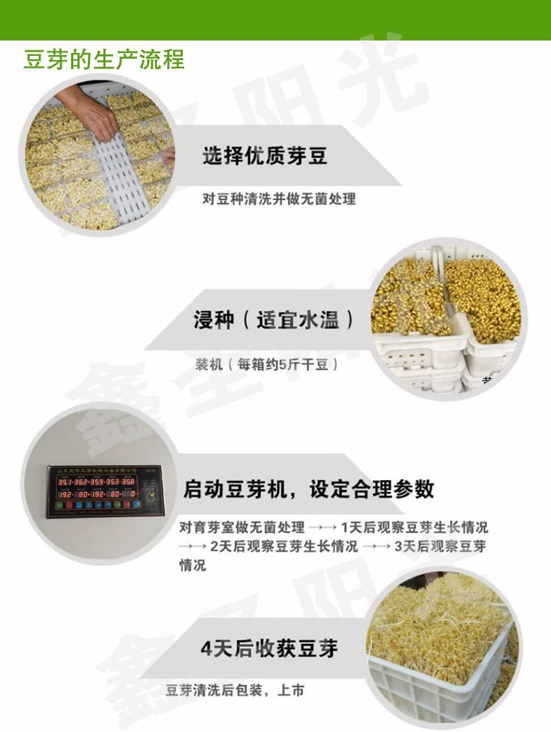 豆芽機商用設備黃綠豆芽發芽機大容量生豆芽機智能款 4