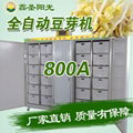 Green pollution-free bean sprout machine