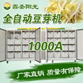 Full automatic high output bean sprout 1000 Jin special price 1