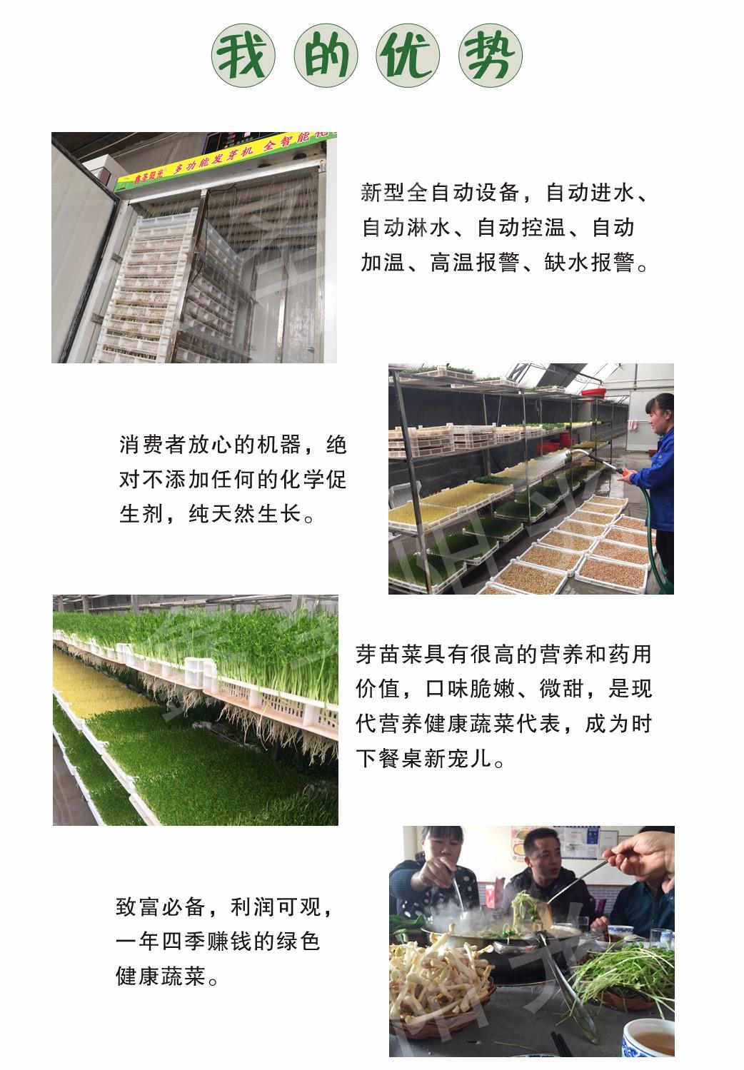 種子發芽機催芽機 商用大容量催芽機器 智能全自動芽苗菜催芽機 5