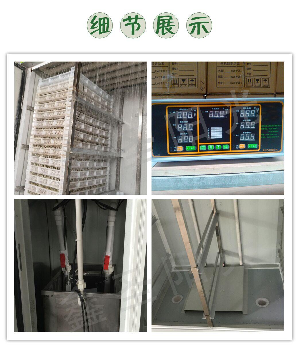 芽苗菜種子發芽機小麥草豌豆苗香椿生芽機大型全自動多功能催芽機 3
