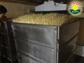 大型豆芽生产线生豆芽机器全自动移动淋水设备豆芽流水线 4