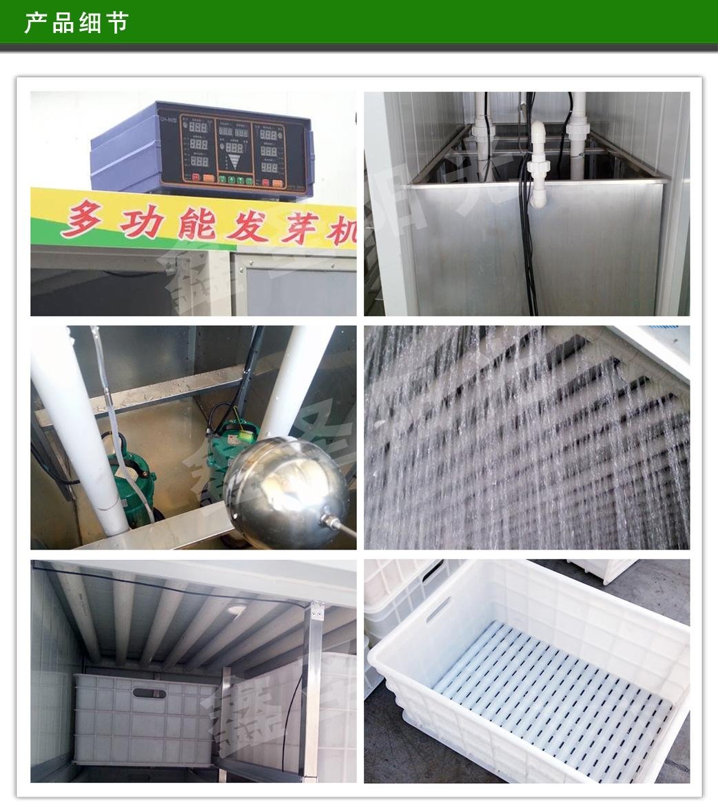 Soybean sprout machine equipment with yellow green bean sprout 2