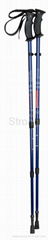 Telescopic trekking poles