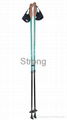 nordic walking stick