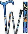 Colorful folding canes 1