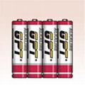 LR6 Alkaline battery