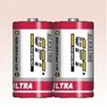 LR20 Alkaline Battery