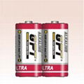 LR14 Alkaline Battery 1