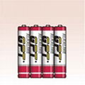 LR03 Alkaline Battery 1