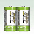 R20P Heavy duty battery 1