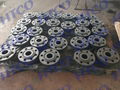 FORGED FLANGE