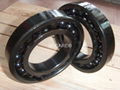 High Temperature Bearings 1