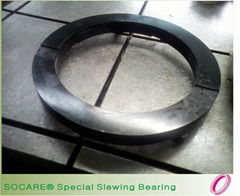 Non-standard Swing Bearings