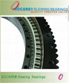 Large-size Turntable bearing   1