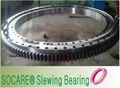 Slewing Bearings for Water Treatment Application