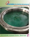 Single-Row Cross Roller Slewing Bearing