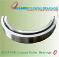 Non-standard Swing Bearings 5