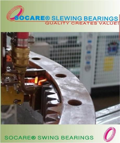 Slewing Ring Bearing 