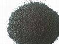 Seaweed Fertilizer 1