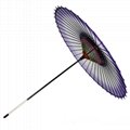 Silk umbrella 3