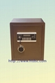 DZ-450 Safe Box