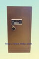 DZ-100A Safe Box (single door) 4