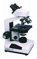 XSG Series biological microscope