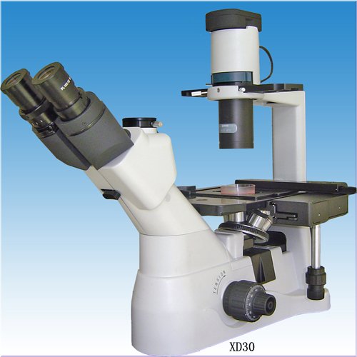 inverted microscope 2