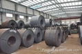 Hot Rolled IS-2062:2011 Coils Sheets Plates