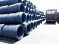 High Carbon Steel Wire Rod Grade 71/75 76/80 81/85 3