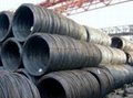 High Carbon Steel Wire Rod Grade 71/75 76/80 81/85