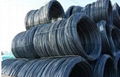 High Carbon Steel Wire Rod Grade 71/75 76/80 81/85 8