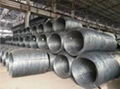 High Carbon Steel Wire Rod Grade 71/75 76/80 81/85 10