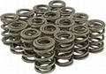 Chrome Silicon Wire for Suspension Spring