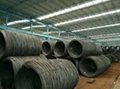 Manufacture of EN 10025-2 Grade S235JR, S275JR, S355JR, S355JO, S355J2 Wire Rods