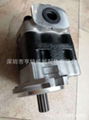 Supply KYB gear pump KFP2333CFJS for Crane 