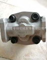 Supply KYB gear pump KFP2333CFJS for Crane 