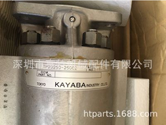 New Original HYDRAULIC PUMP TP20250-250CZ FOR  FORKLIFT