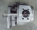 KAYABA GEAR PUMP P20150CJ FOR CRANE