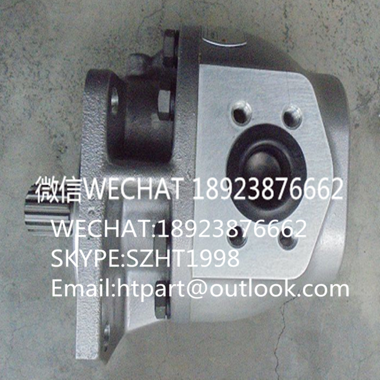 日本KYB齒輪泵92571-02200(P20250C)大連叉車齒輪泵 1