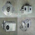 KAYABA 齒輪泵TP20200-150A TP20200-100AMS 用於日立