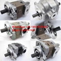 SHIMADZU SGP1-23F2H9-R520 MITSUBISHI Gear Pump 1