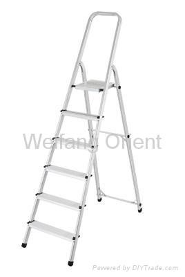 Home Ladder 5