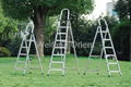 Aluminium Ladder 2